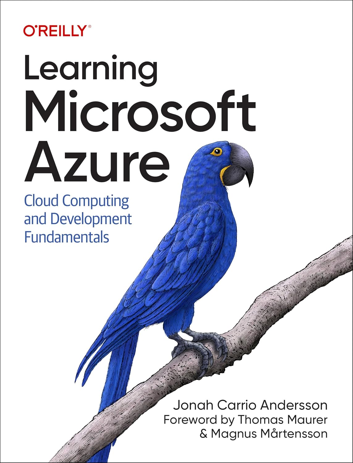 Learning Microsoft Azure: Cloud Computing and Development Fundamentals baixar livro de graça
