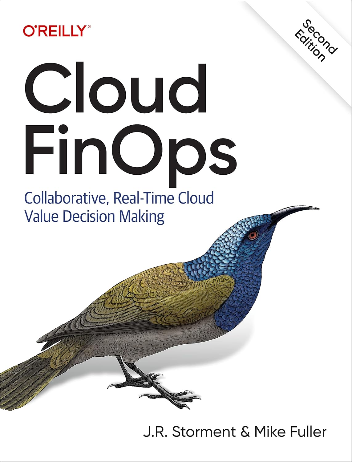 Cloud FinOps: Collaborative, Real-Time Cloud Value Decision Making (English Edition) baixar o livro de graça