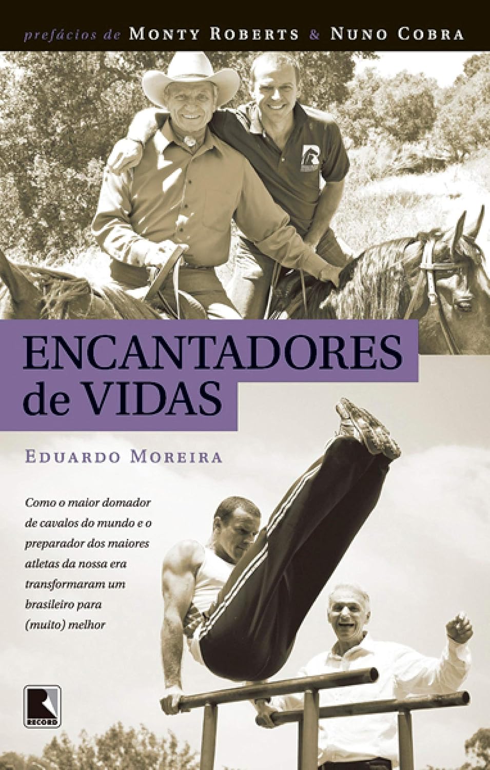 Encantadores de vidas baixar livro de graça