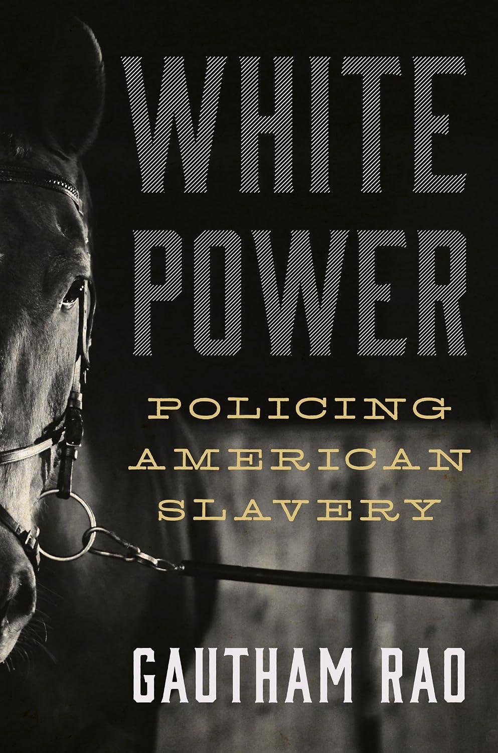 capítulo por capítulo baixar White Power: Policing American Slavery (W. Hodding Carter III Books) (English Edition)