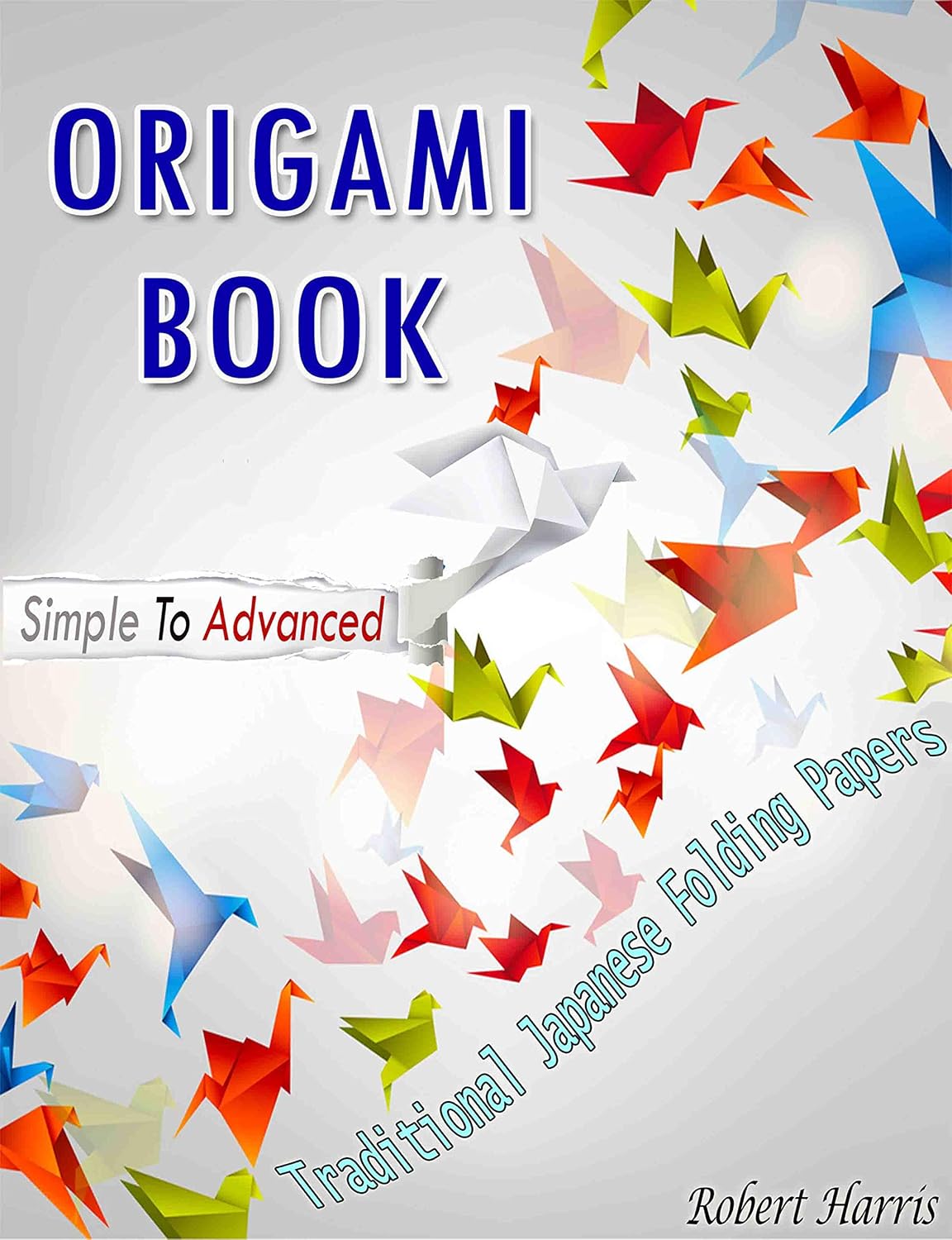 ler totalmente Origami Book – Simple To Advanced Traditional Japanese Folding Papers (English Edition)
