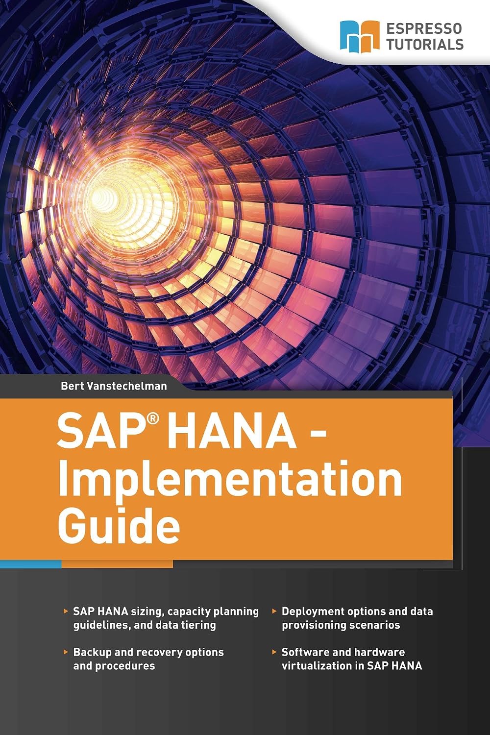 SAP HANA - Implementation Guide (English Edition) baixar livro de graça