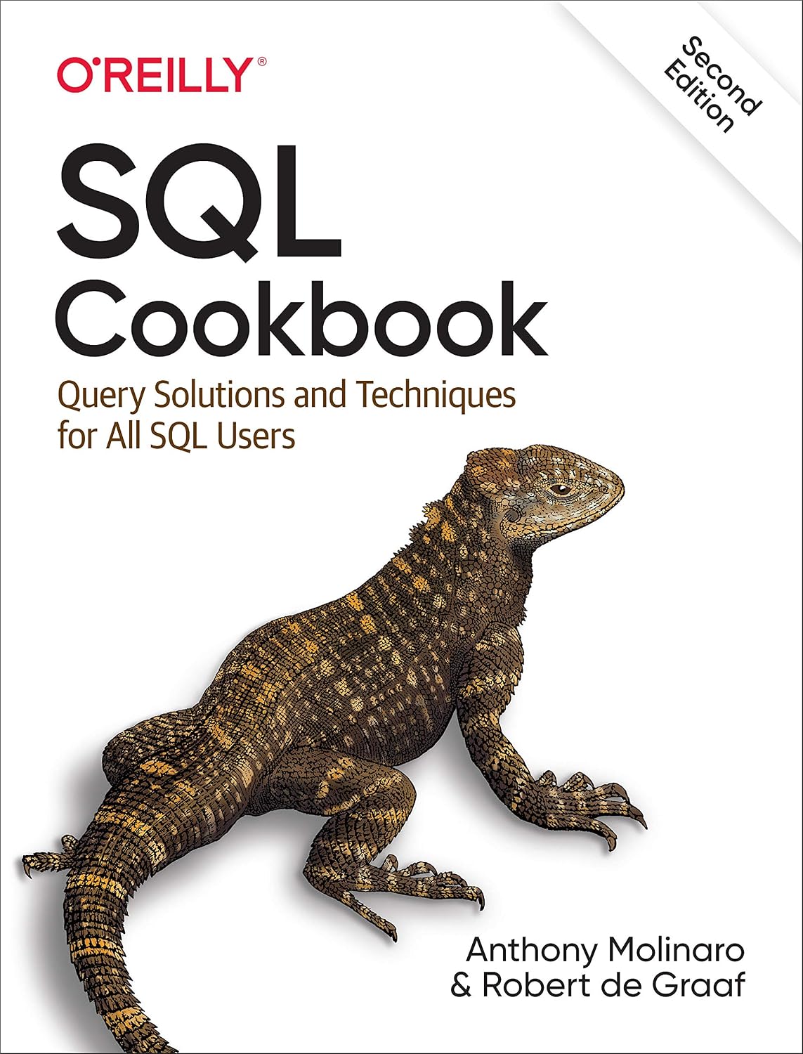 SQL Cookbook: Query Solutions and Techniques for All SQL Users baixar o livro de graça
