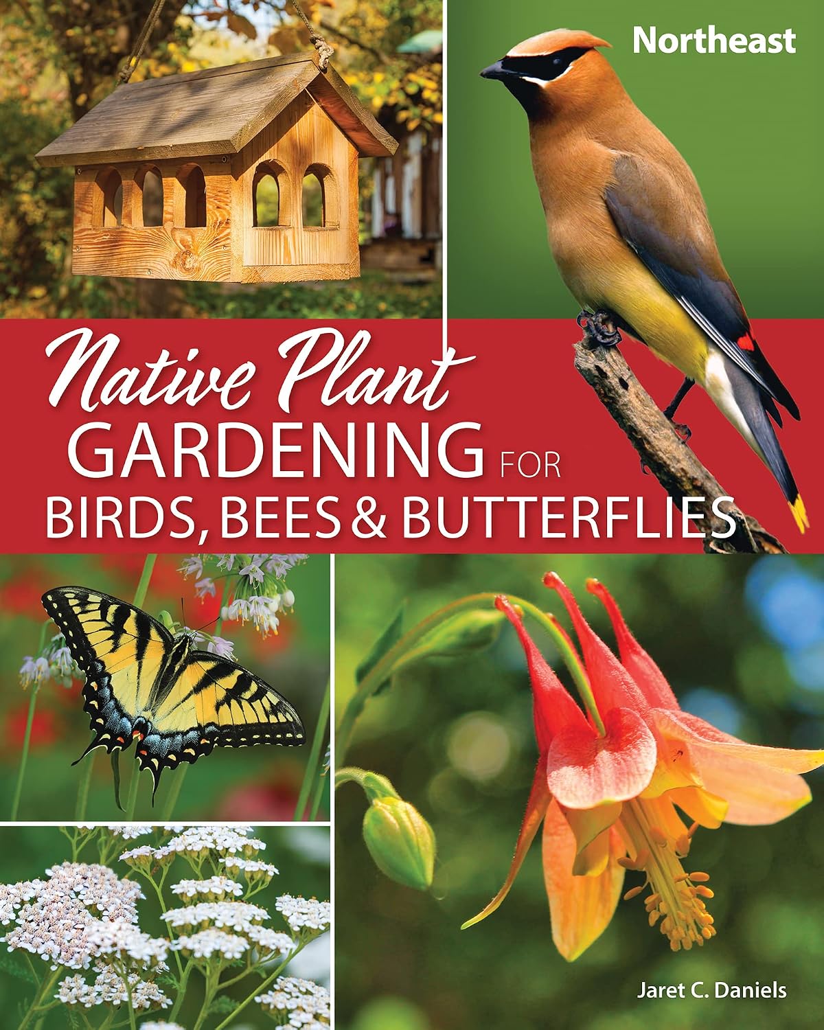 Native Plant Gardening for Birds, Bees & Butterflies: Northeast (Nature-Friendly Gardens) (English Edition)