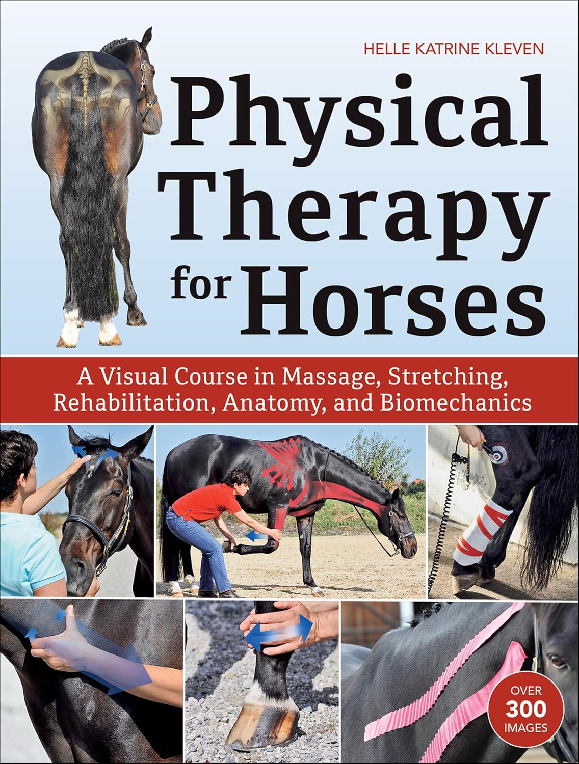 Physical Therapy for Horses: A Visual Course in Massage, Stretching, Rehabilitation, Anatomy, and Biomechanics (English Edition) baixar o livro de graça