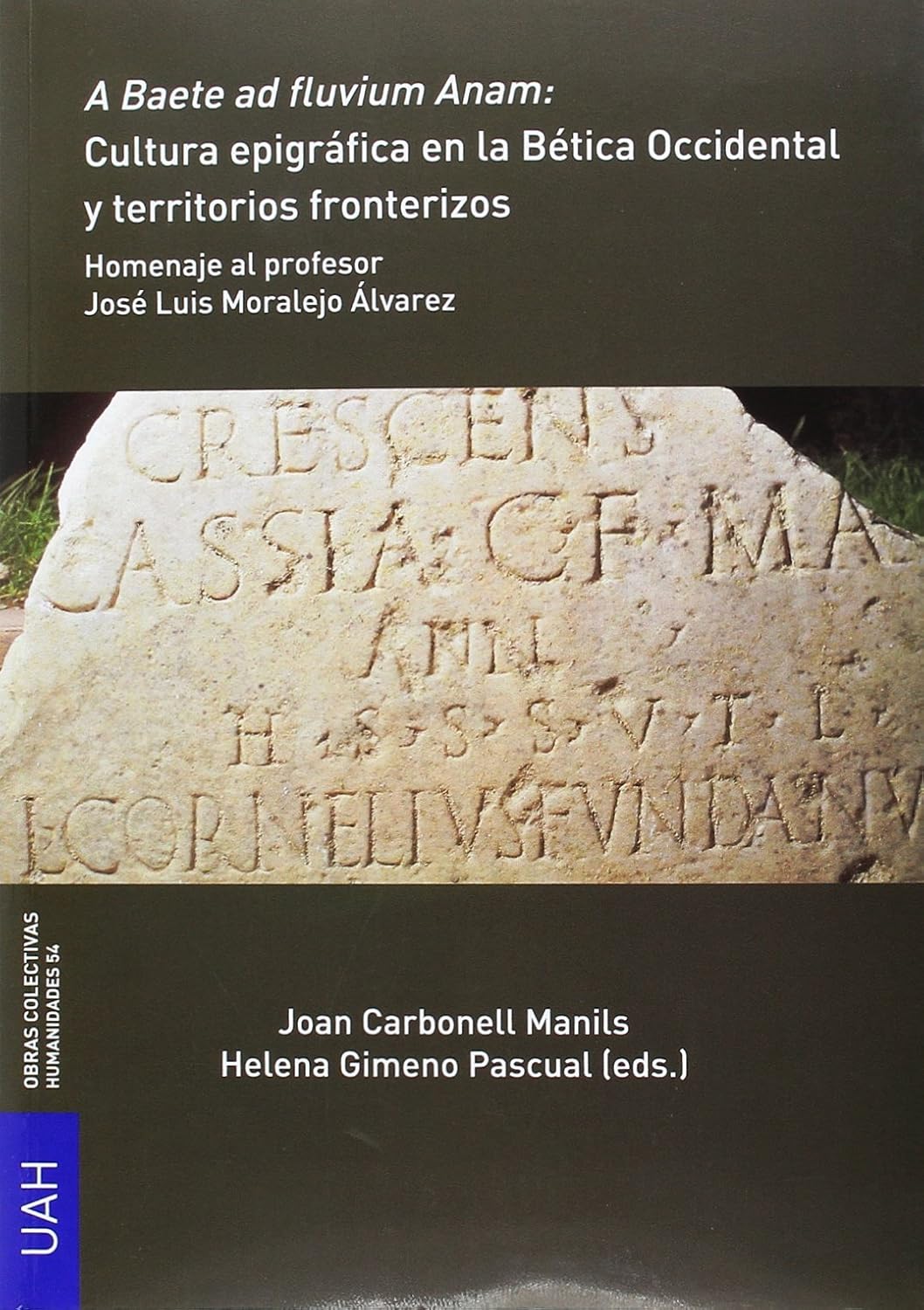 A Baete ad fluvium Anam: Cultura epigráfica en la Bética Occidental y territorios fronterizos: Homenaje al profesor José Luis Moralejo Álvarez: 24 baixar livro de graça