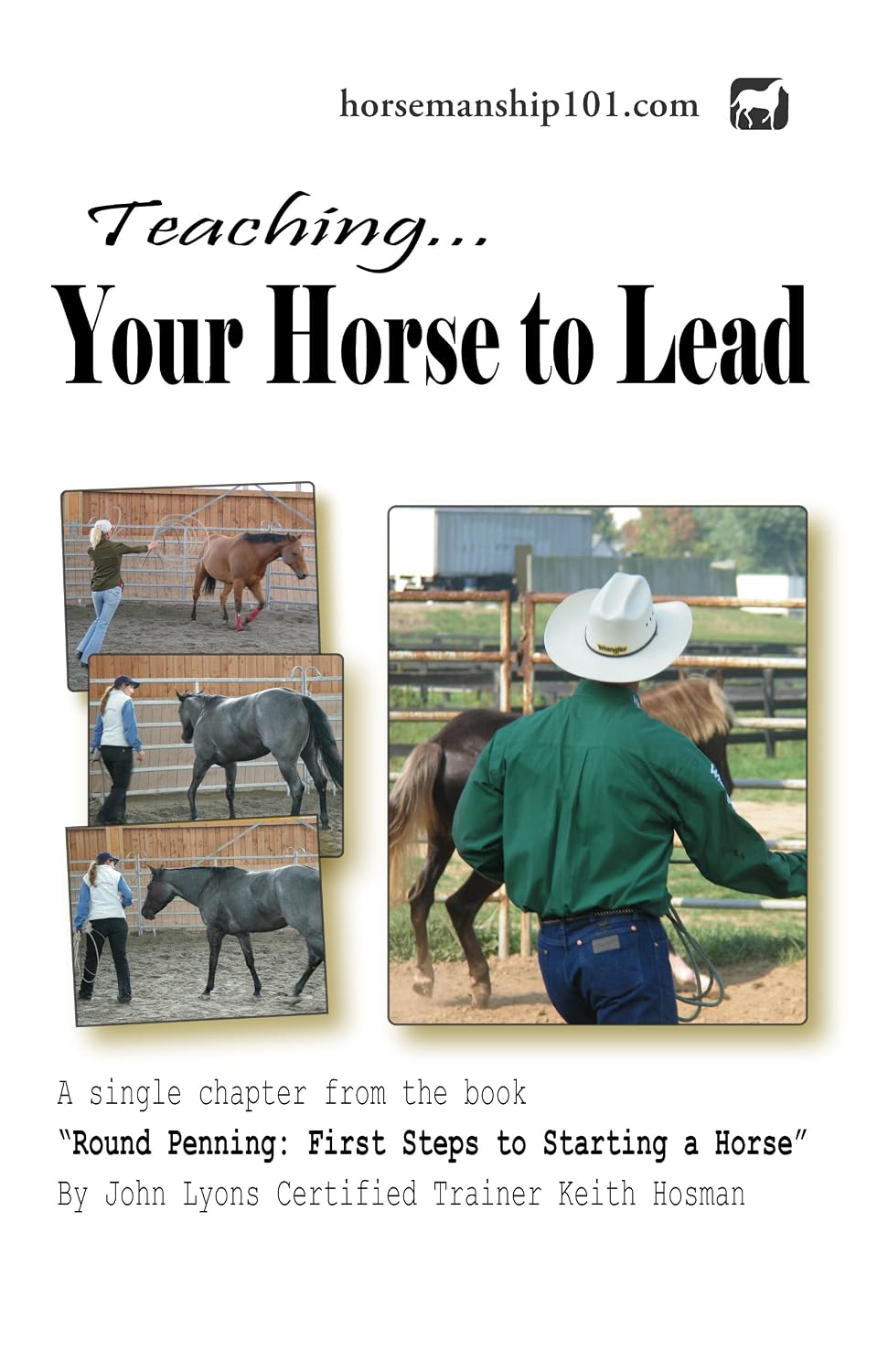 ler totalmente Teaching Your Horse to Lead (Round Penning Book 7) (English Edition)