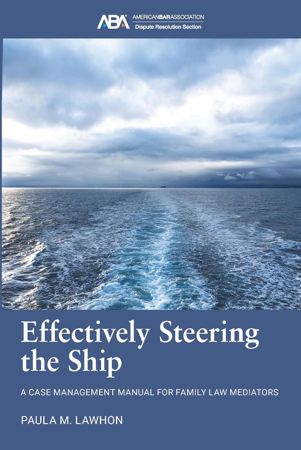 Effectively Steering the Ship (English Edition) baixar o livro de graça