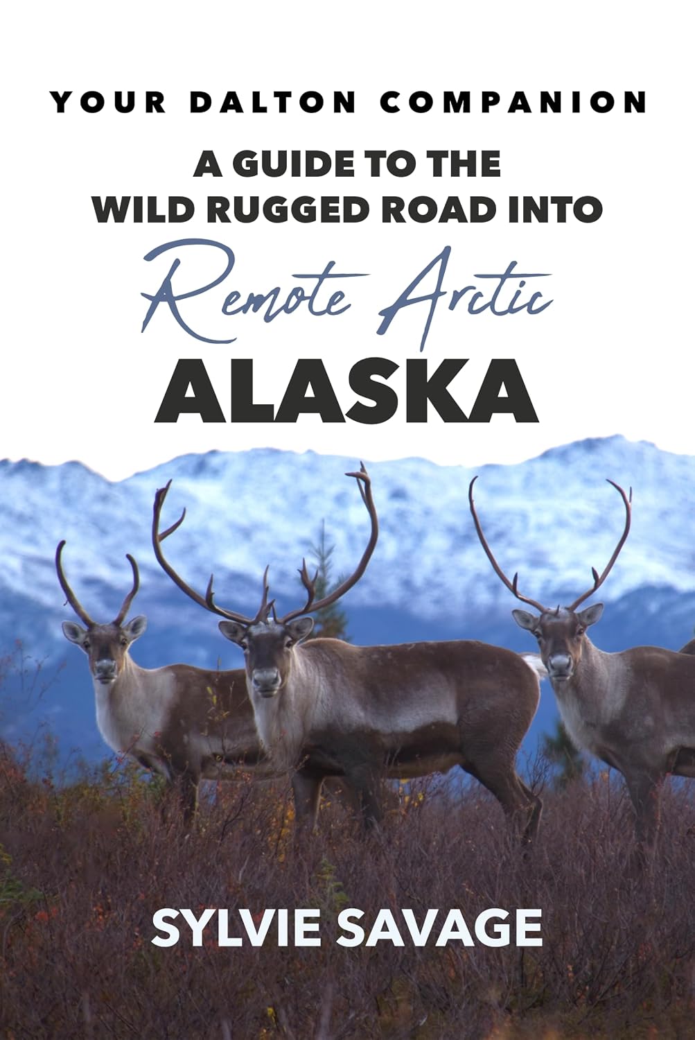 Your Dalton Companion: A Guide to the Wild Rugged Road into Remote Arctic Alaska (English Edition) baixar livro de graça