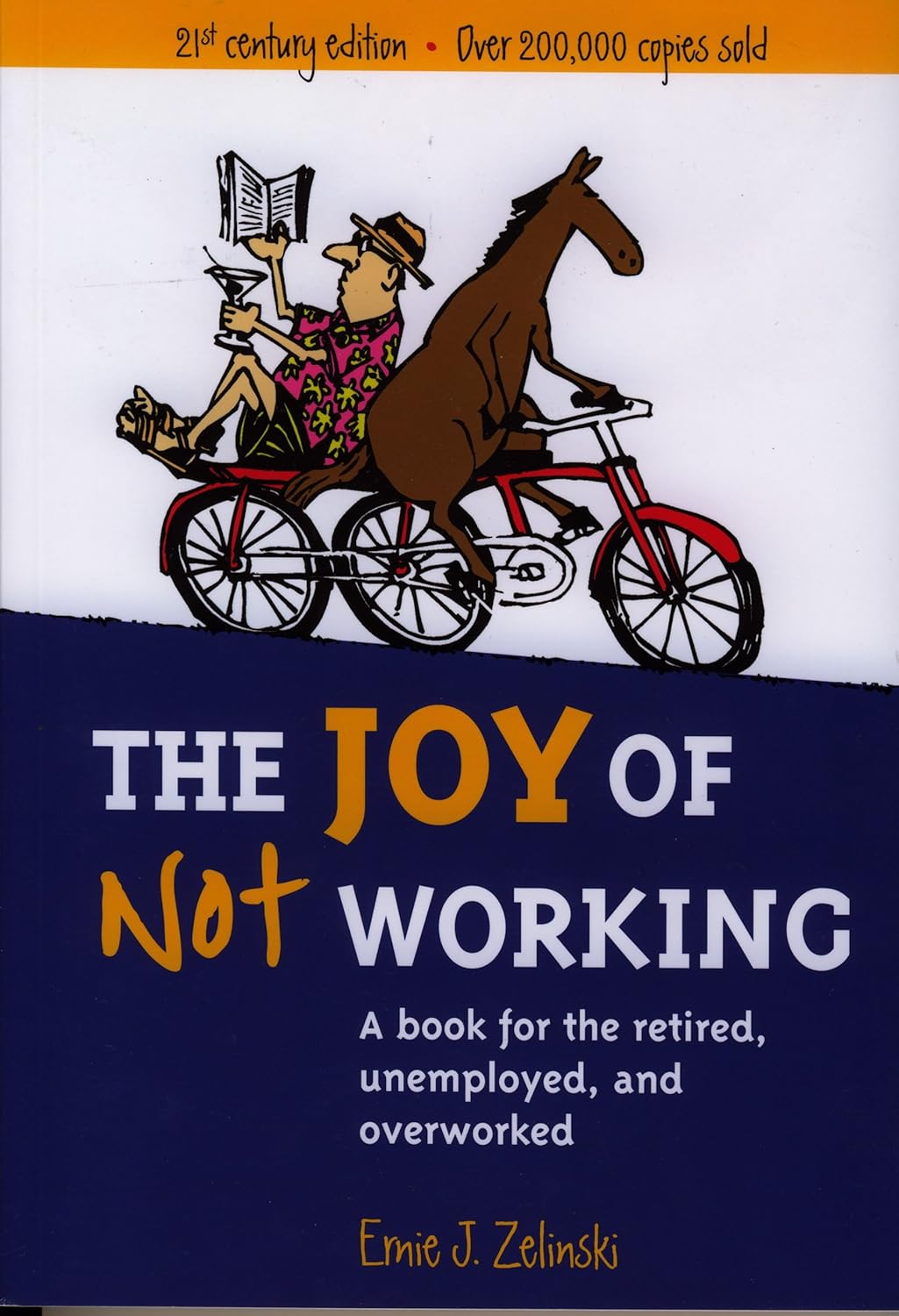 The Joy of Not Working: A Book for the Retired, Unemployed, and Overworked — 21st Century Edition (English Edition) baixar livro de graça