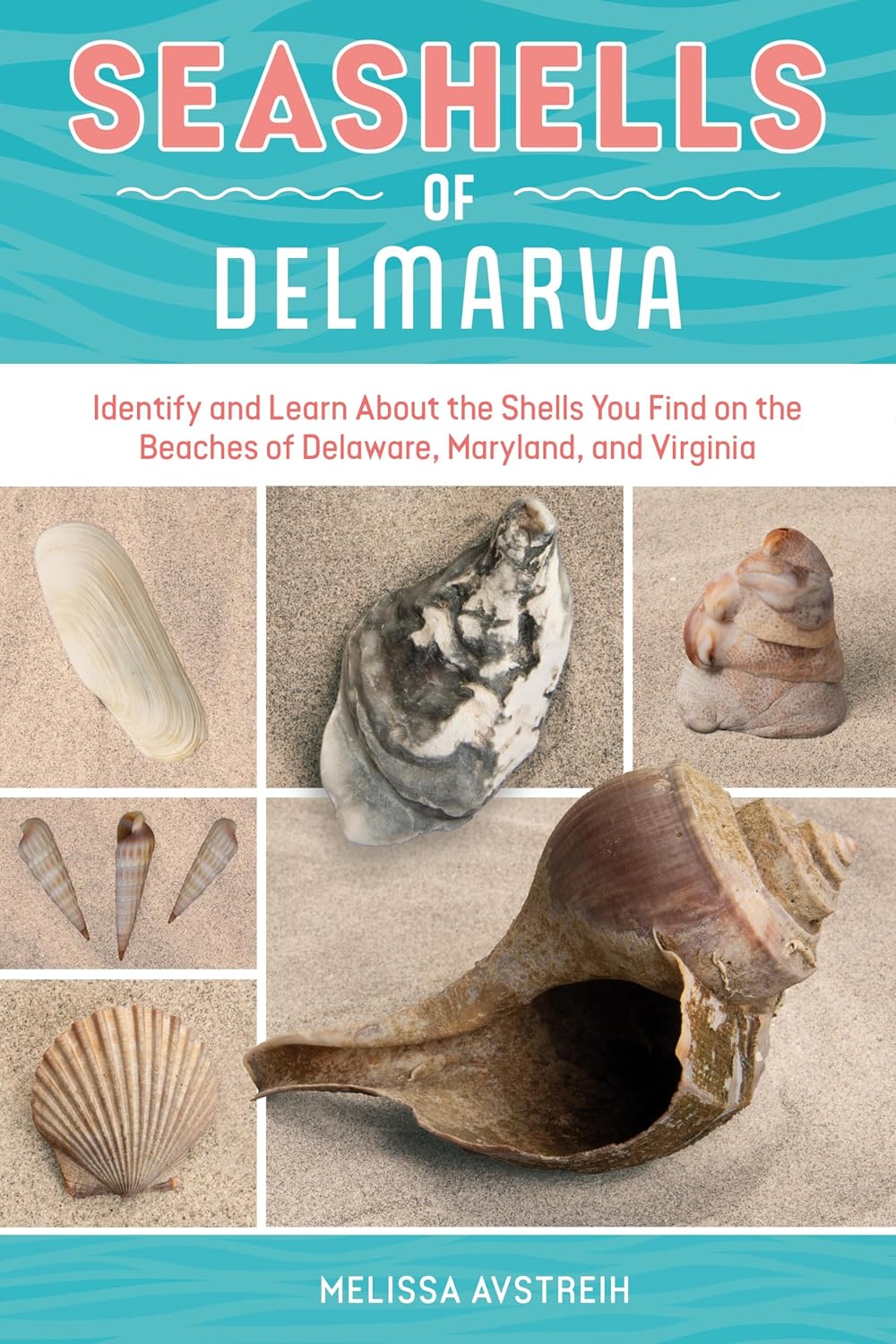 capítulo por capítulo baixar Seashells of Delmarva: Identify and Learn About the Shells You Find on the Beaches of Delaware, Maryland, and Virginia (English Edition)