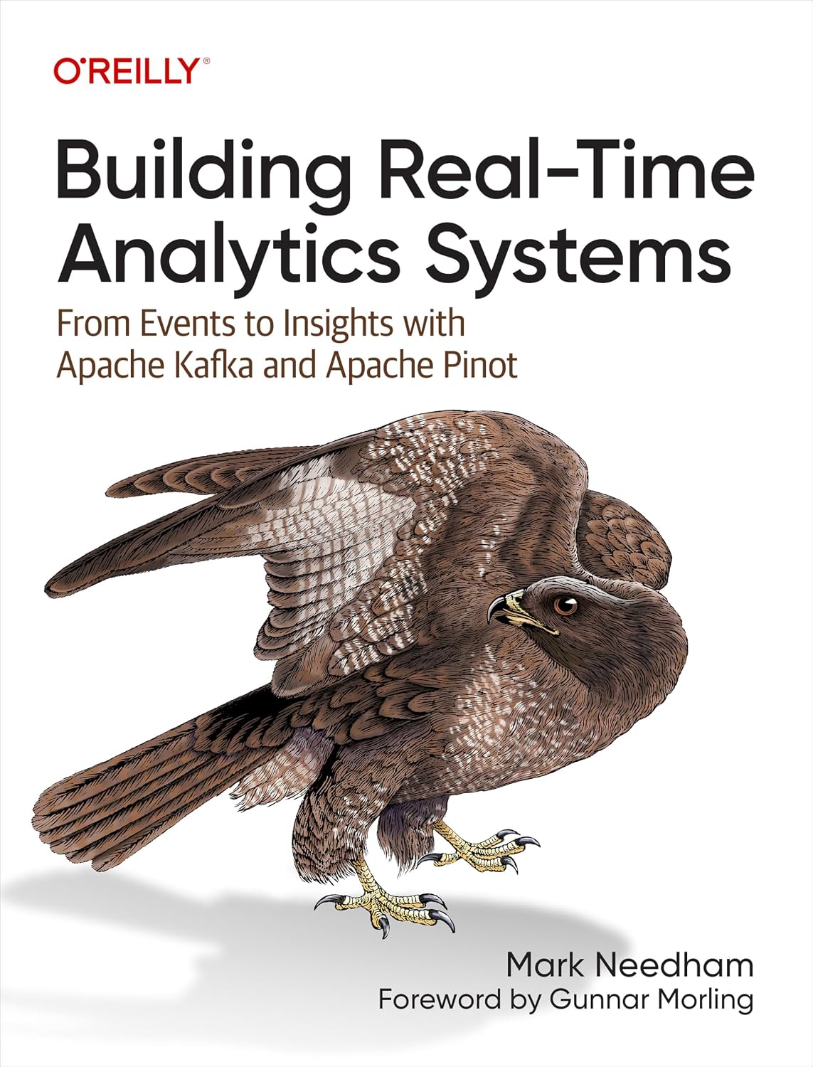 Building Real-Time Analytics Systems: From Events to Insights with Apache Kafka and Apache Pinot baixar o livro de graça
