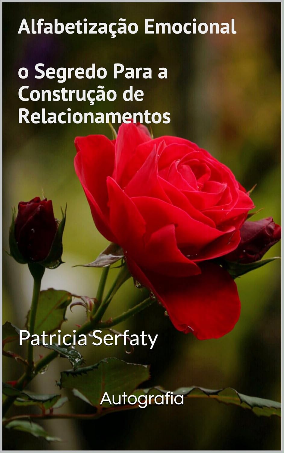 Alfabetização Emocional o Segredo Para a Construção de Relacionamentos: Patricia Serfaty baixar o livro de graça