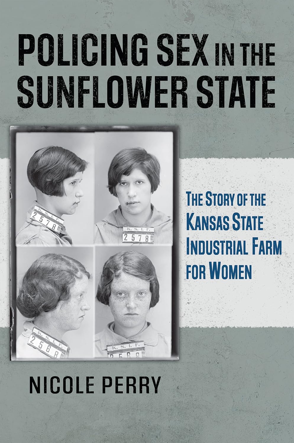 Policing Sex in the Sunflower State: The Story of the Kansas State Industrial Farm for Women (English Edition) baixar livro de graça