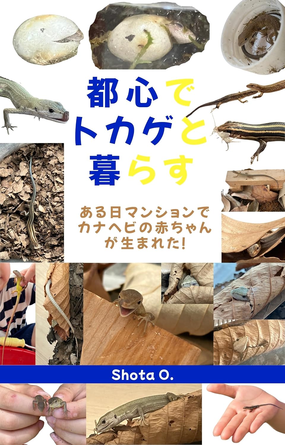 TOSHIN DE TOKAGE TO KURASU: ARUHI MANSHON DE KANAHEBI NO AKACHAN GA UMARETA (Japanese Edition) baixar o livro de graça