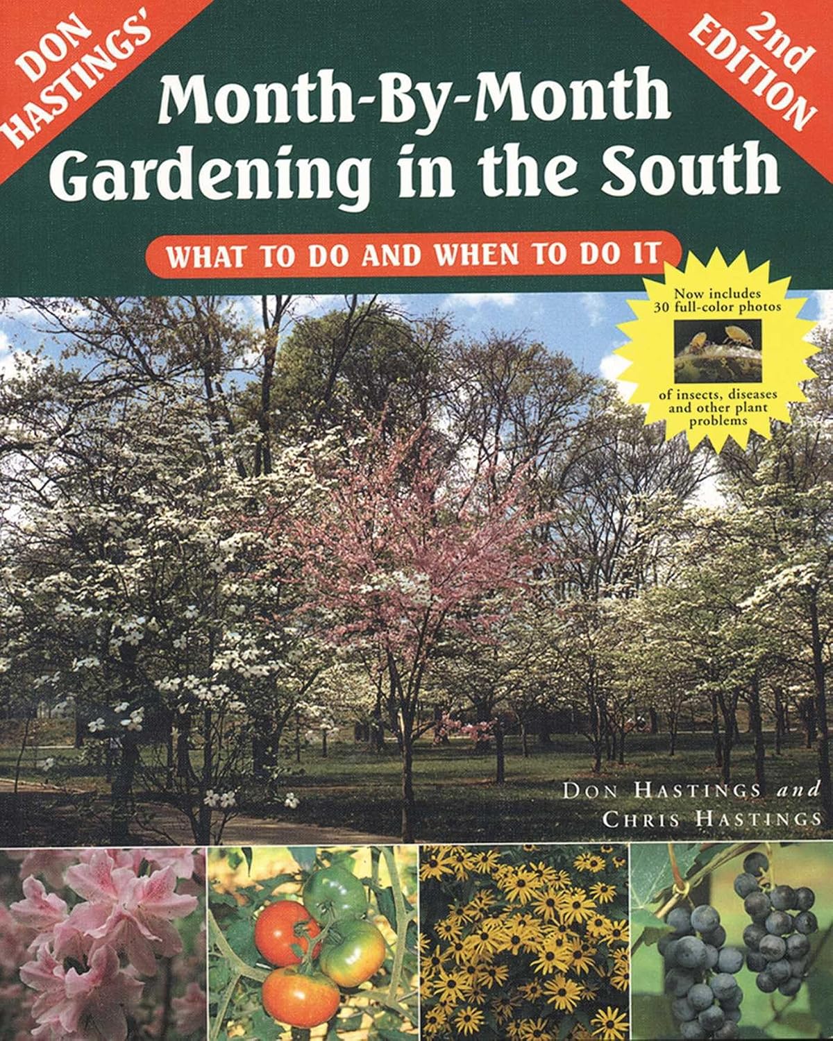 Month-By-Month Gardening in the South: What to Do and When to Do It