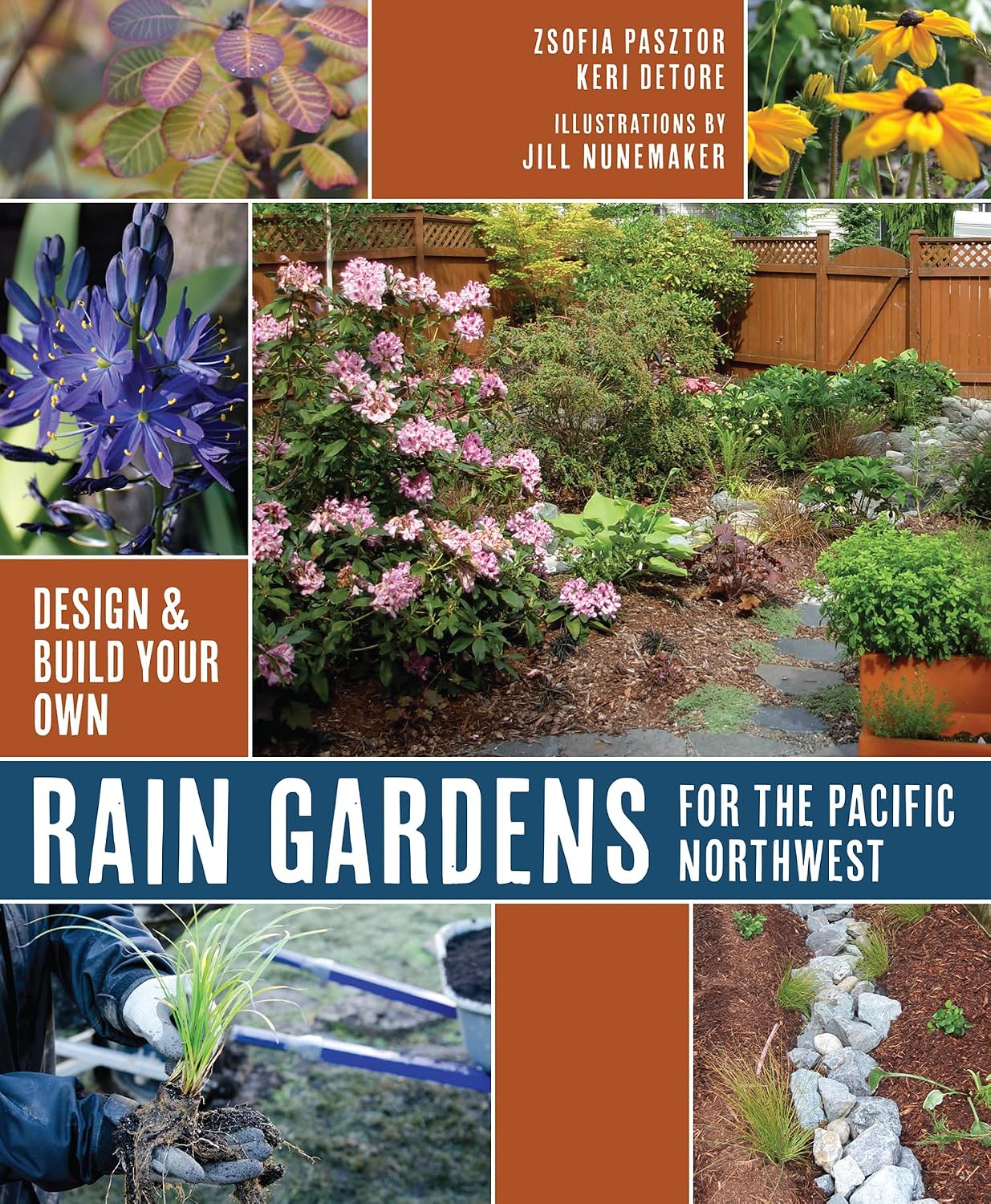 Rain Gardens for the Pacific Northwest: Design and Build Your Own baixar livro de graça
