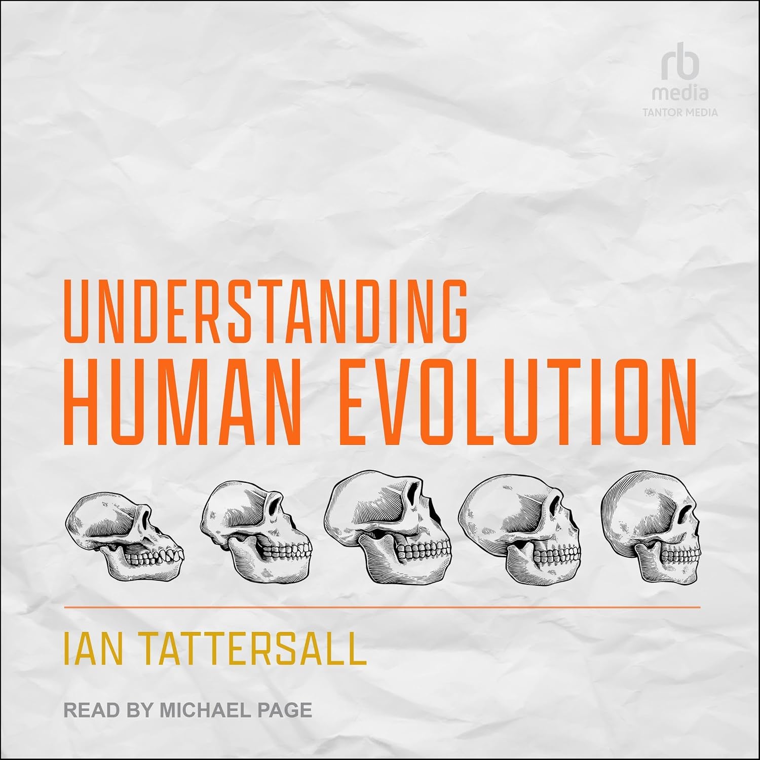 Understanding Human Evolution baixar o livro de graça