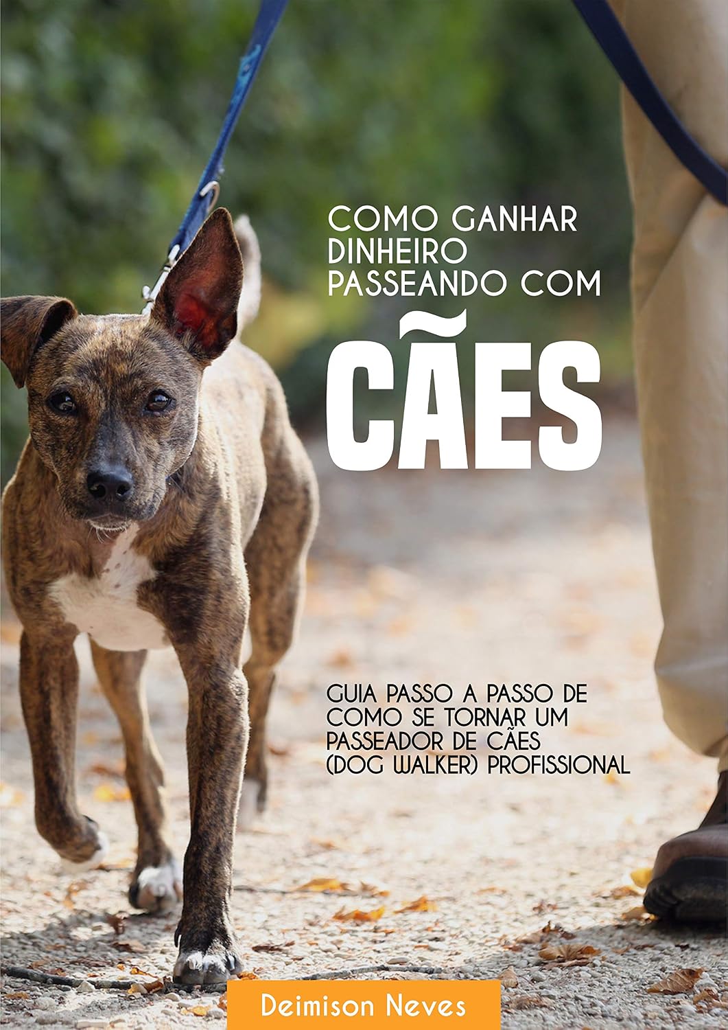 ler totalmente Como Ganhar Dinheiro Passeando Com Cães: Guia passo-a-passo de como se tornar um passeador de cães (dog walker) profissional