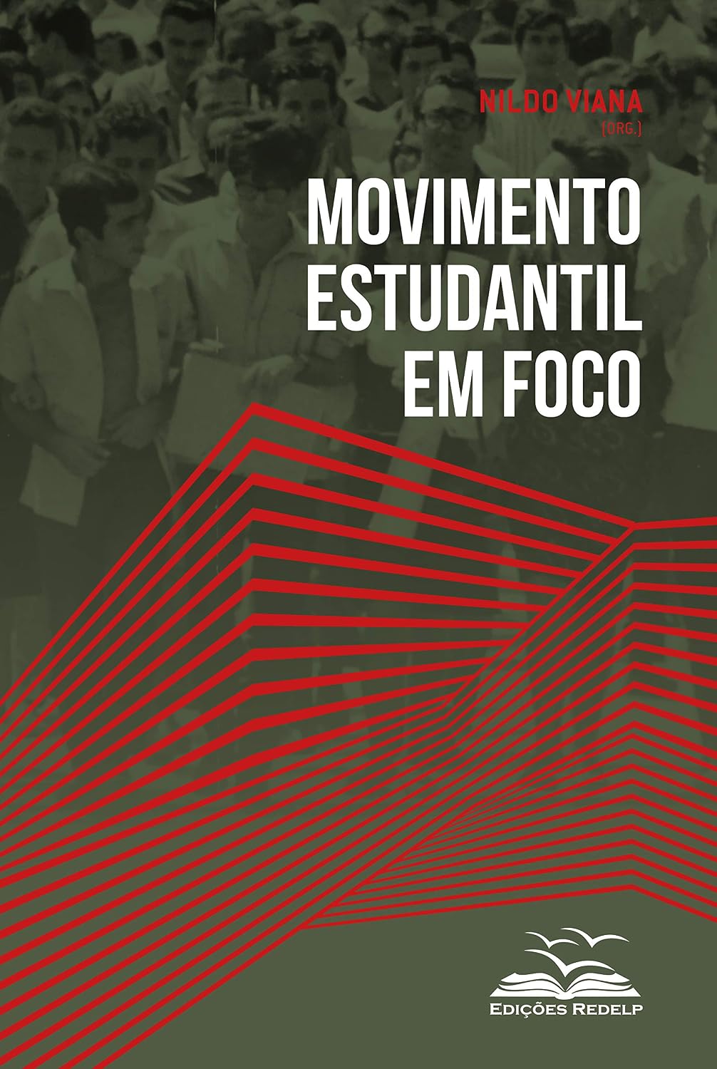 Movimento estudantil em foco (Movimentos Sociais Livro 2) baixar livro de graça