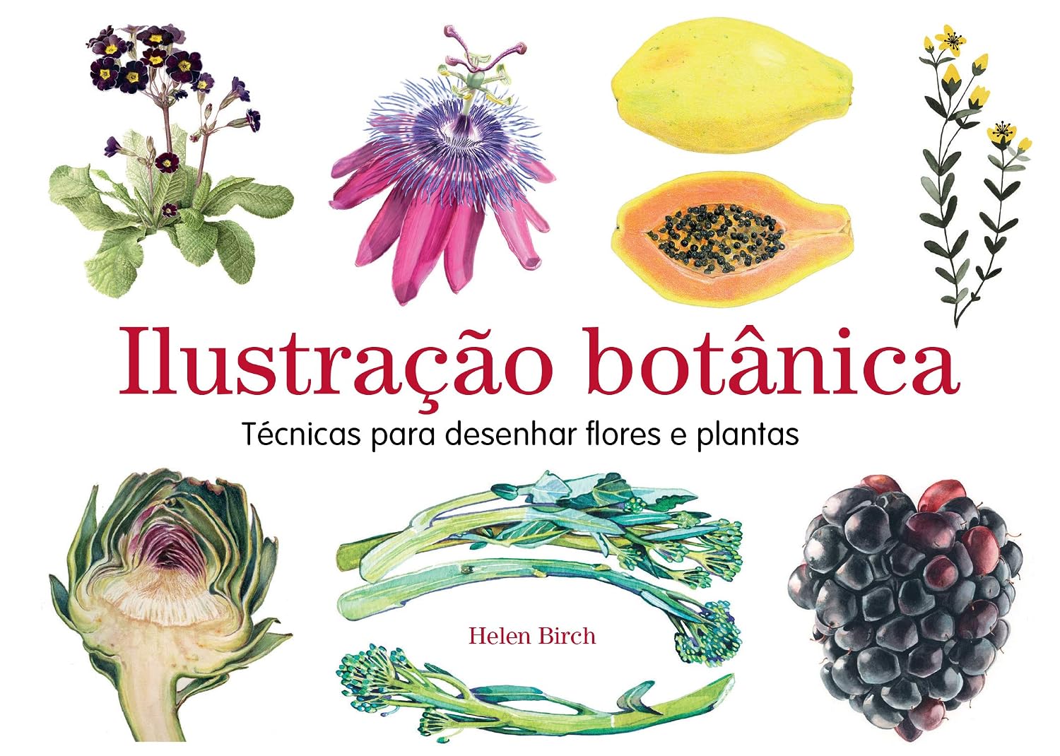 ler totalmente Ilustração botánica: Técnicas para desenhar flores e plantas