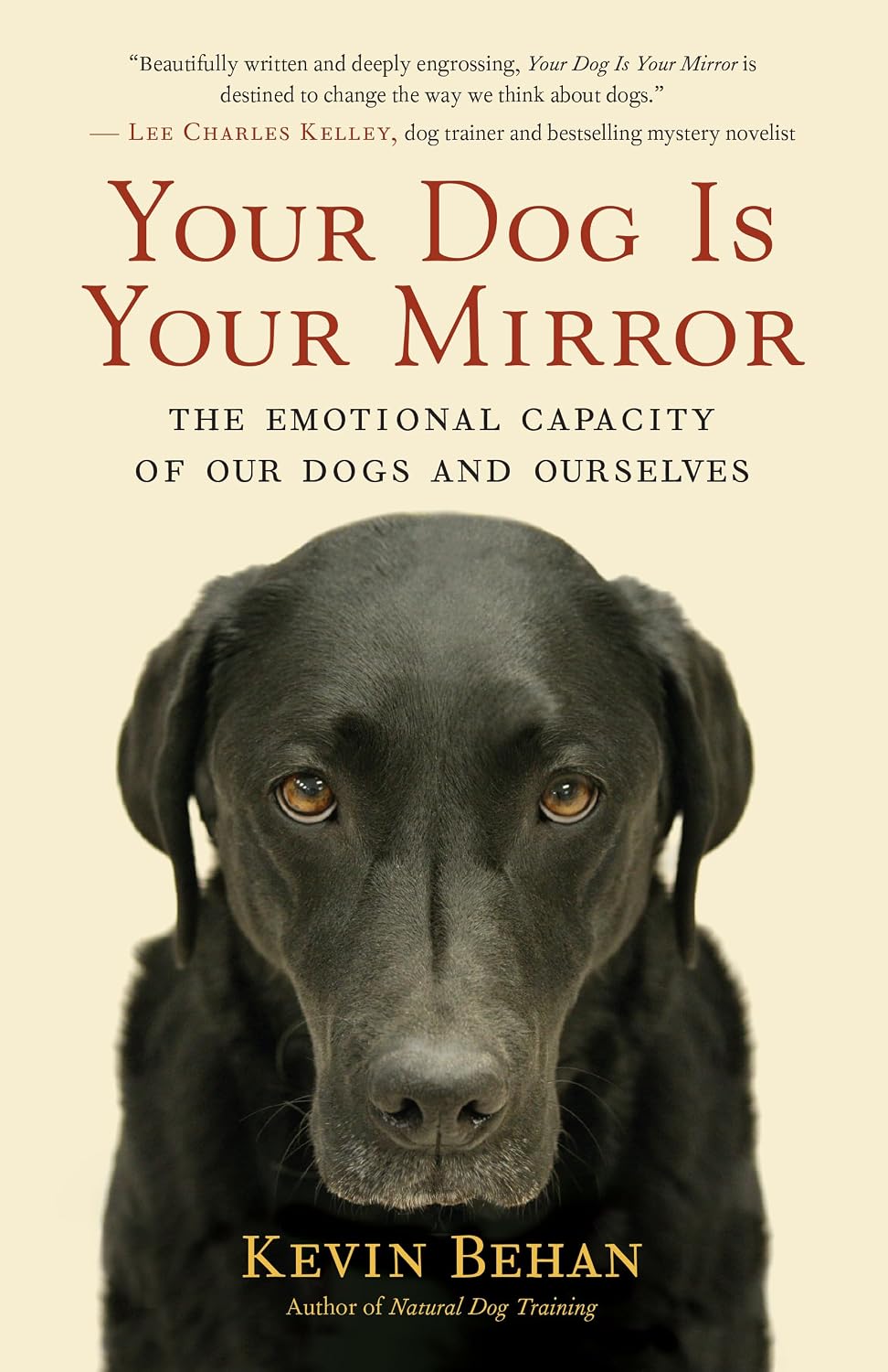 Your Dog Is Your Mirror: The Emotional Capacity of Our Dogs and Ourselves (English Edition)