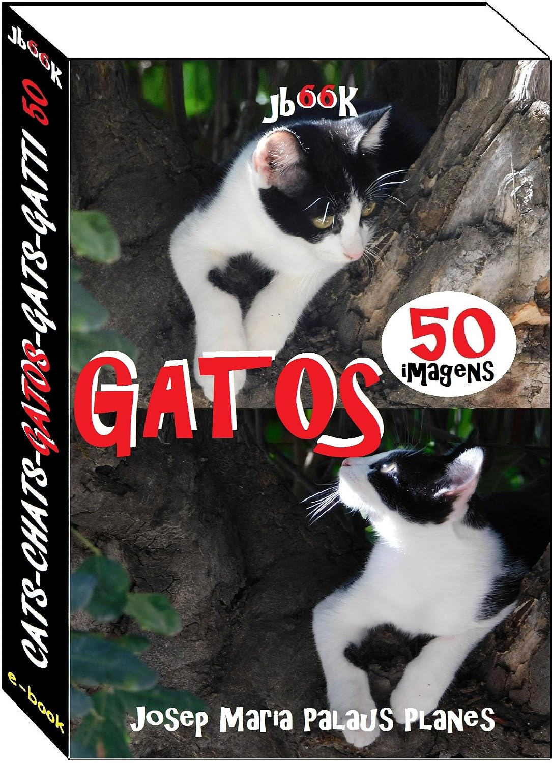 Gatos (50 imagens) baixar o livro de graça