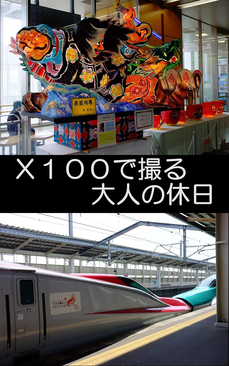 capítulo por capítulo baixar ekkusuhyakudetoruotonanokyuuzitu (emuenupi) (Japanese Edition)