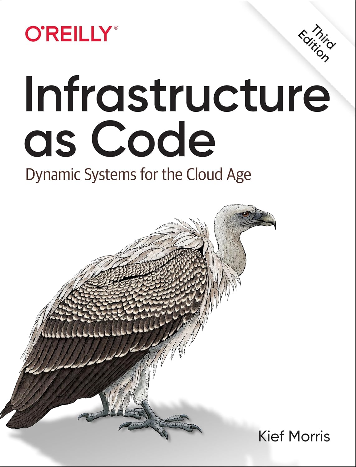 Infrastructure as Code: Designing and Delivering Dynamic Systems for the Cloud Age baixar livro de graça