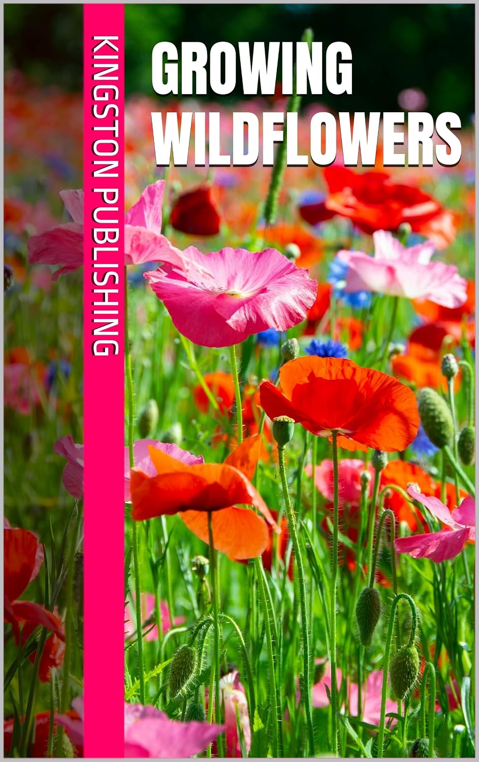 Growing Wildflowers (Flowers and Vegetables That Grow Well in Pots) (English Edition) baixar o livro de graça