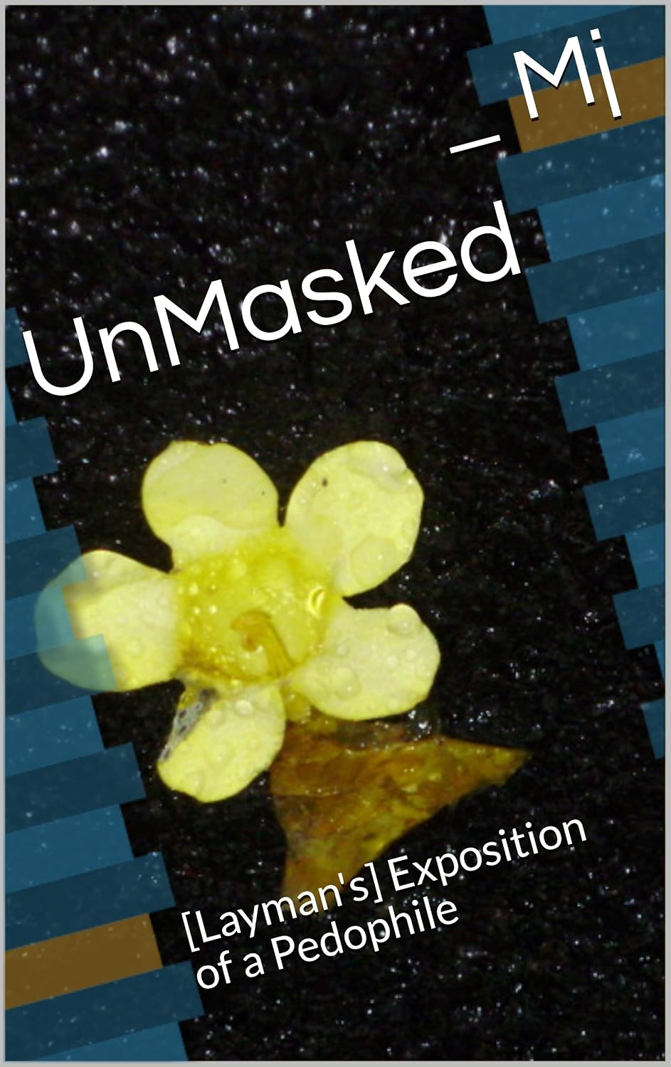 UnMasked: [Layman's] Exposition of a Pedophile (English Edition) baixar o livro de graça