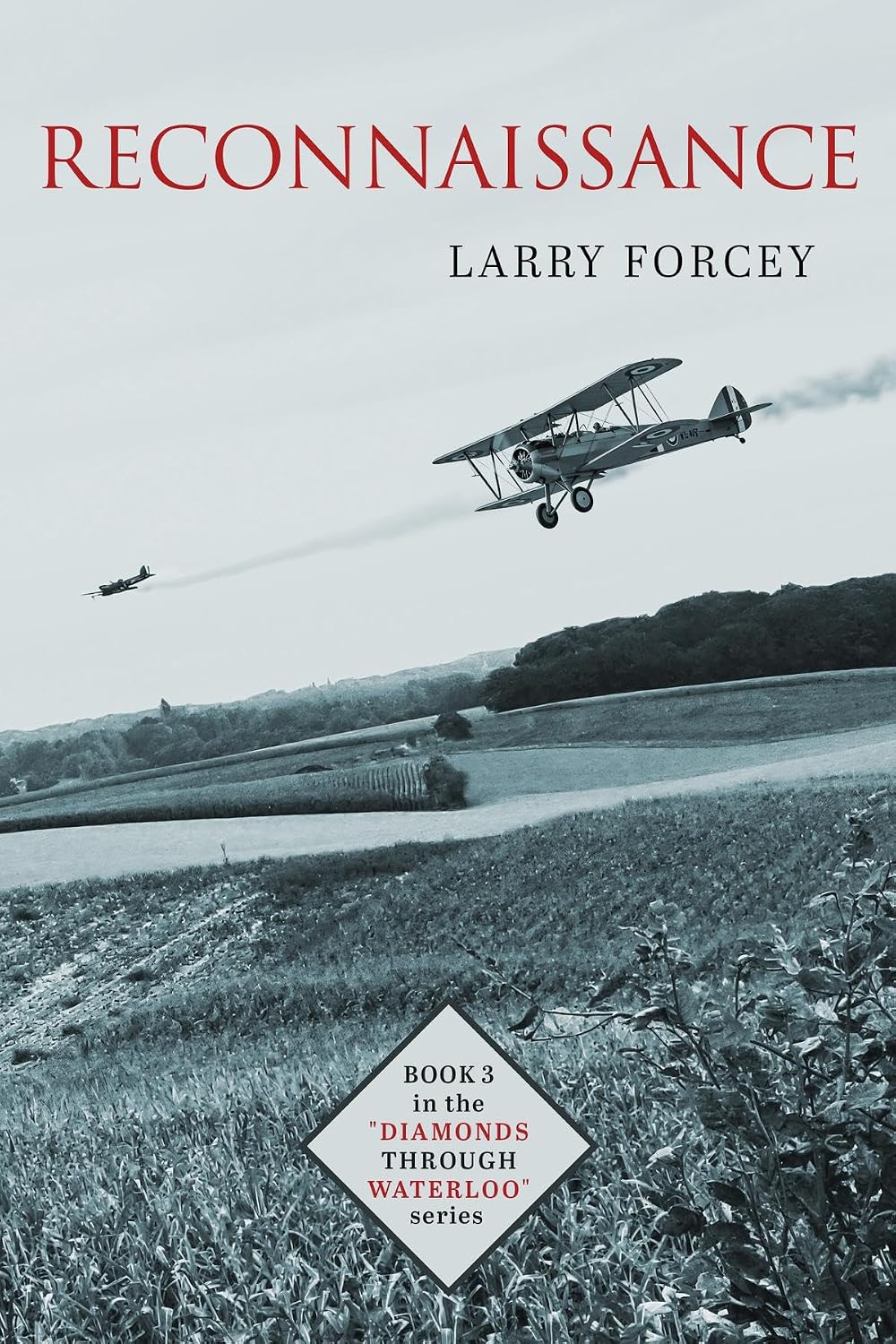 ler totalmente Reconnaissance (Diamonds Through Waterloo Book 3) (English Edition)