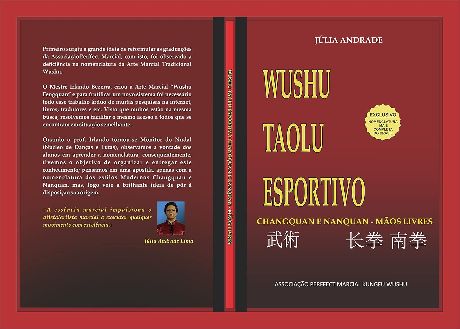 Wushu Taolu Esportivo: Changquan e Nanquan - Mãos Livres baixar o livro de graça