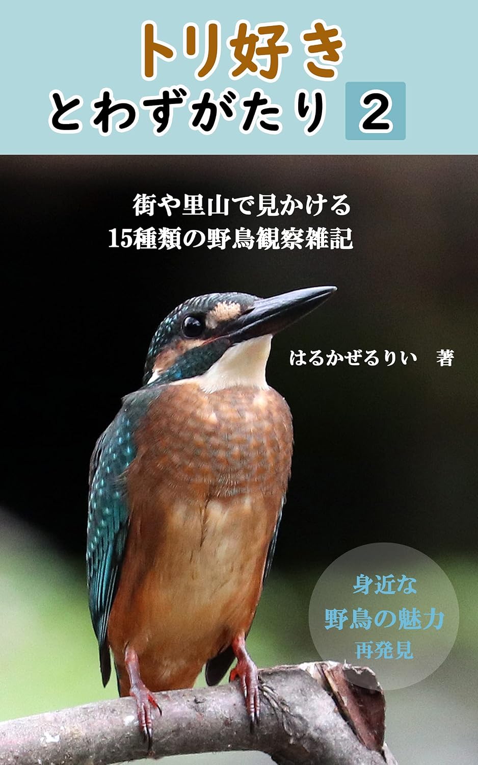 ler totalmente torizukitowazugatari ni: machiyasatoyamademikakerujyuugosyuruinokansatuzattki (Japanese Edition)