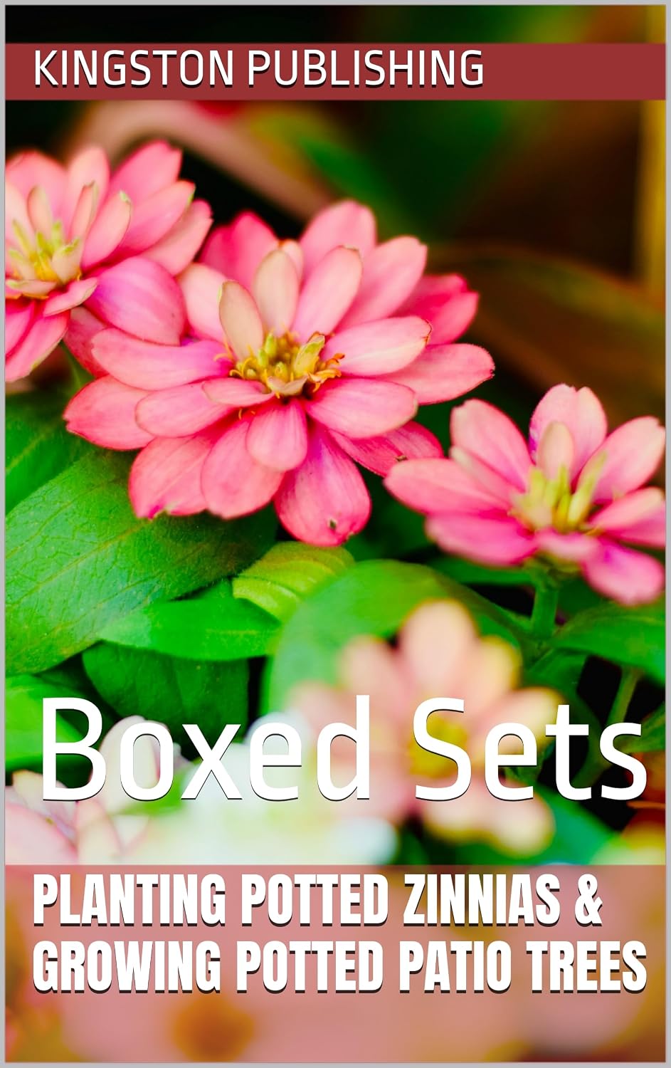 ler totalmente Planting Cheerful Potted Zinnias & Growing Potted Patio Trees: Boxed Sets (Tranquil Gardens) (English Edition)