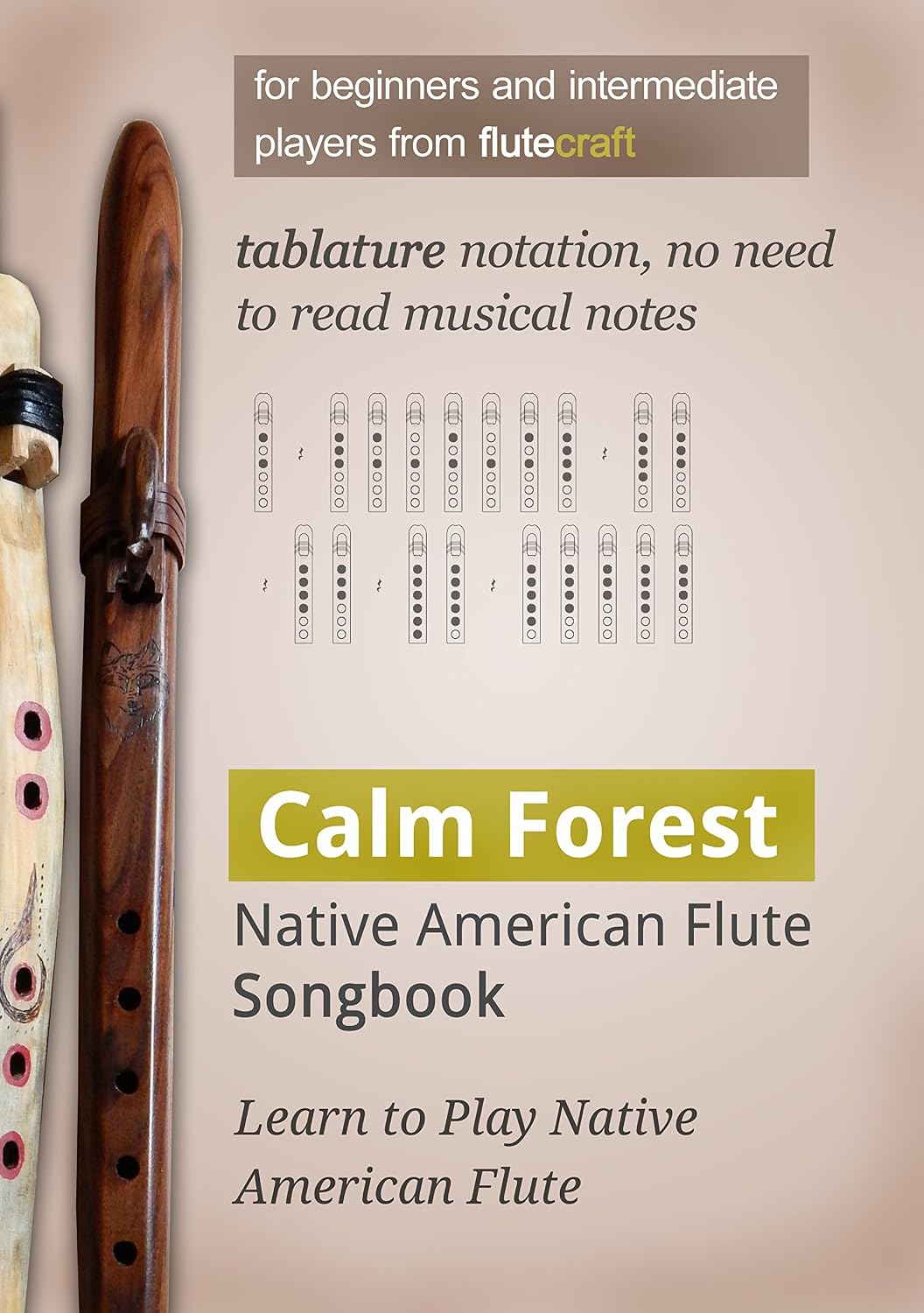 capítulo por capítulo baixar Calm Forest: Native American Flute Songbook (English Edition)