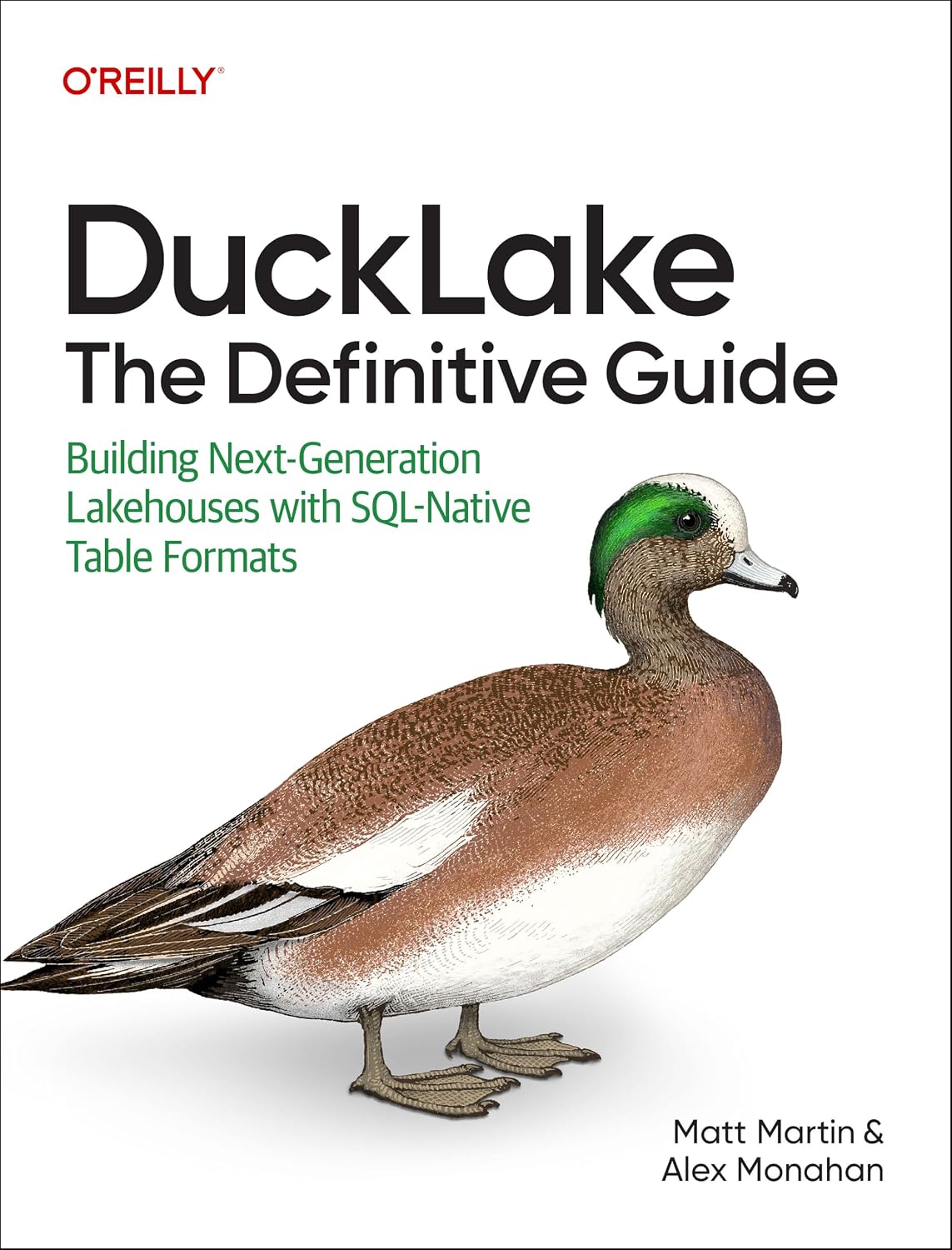 Ducklake: The Definitive Guide: Building Next-Generation Lakehouses with Sql-Native Table Formats baixar o livro de graça