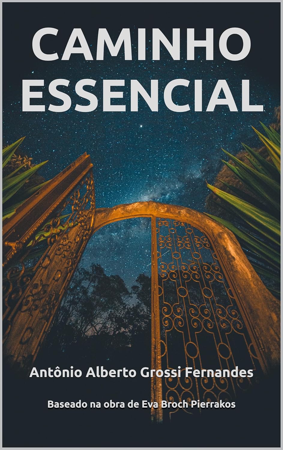 CAMINHO ESSENCIAL baixar o livro de graça