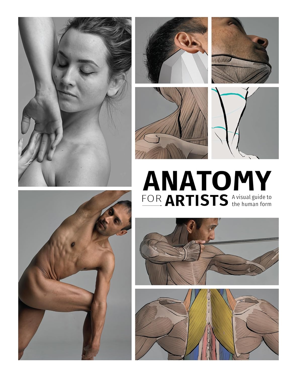 Anatomy for Artists: A Visual Guide to the Human Form