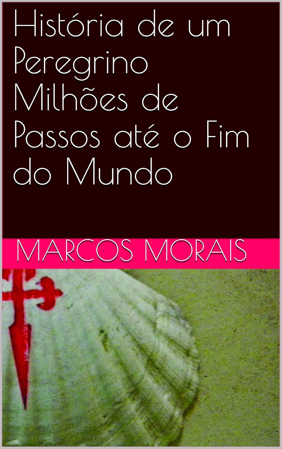 História de um Peregrino Milhões de Passos até o Fim do Mundo baixar livro de graça