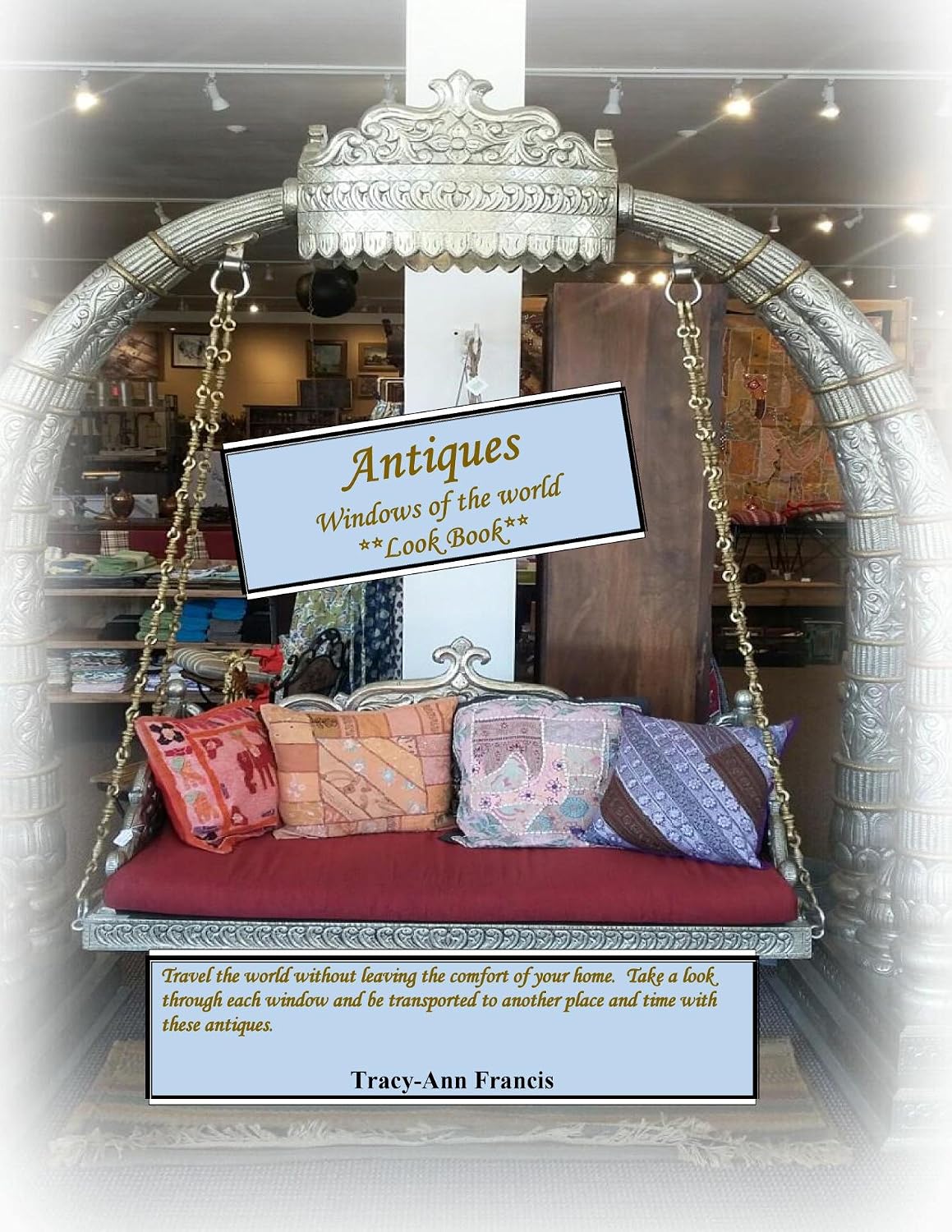 ler totalmente Antiques windows of the world: Look Book (English Edition)