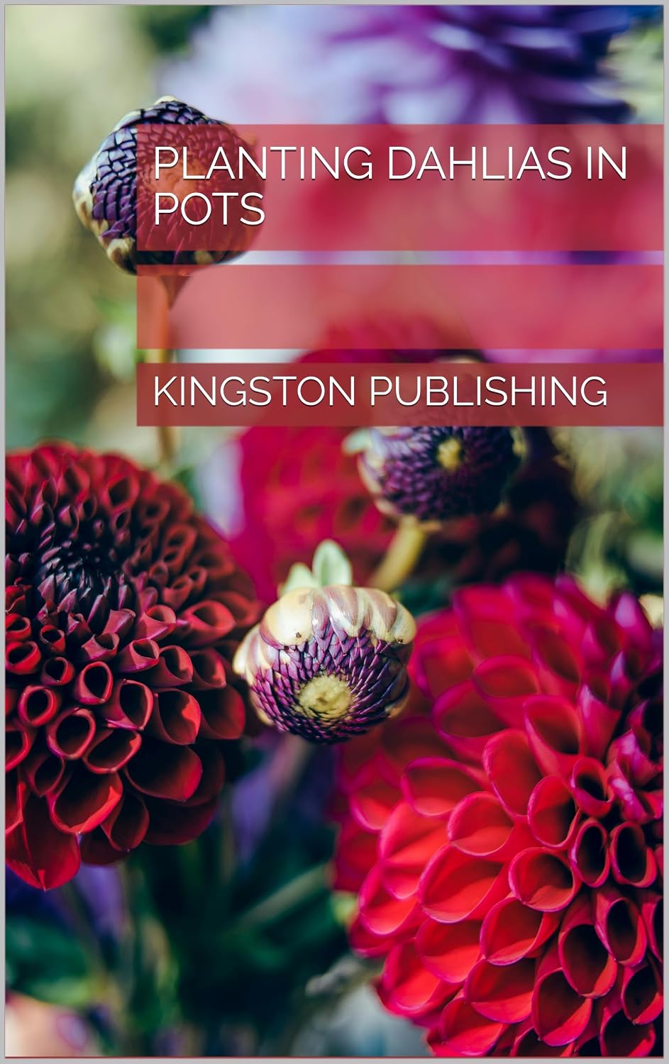 Planting Dahlias in Pots (Growing Potted Flowers) (English Edition) baixar livro de graça