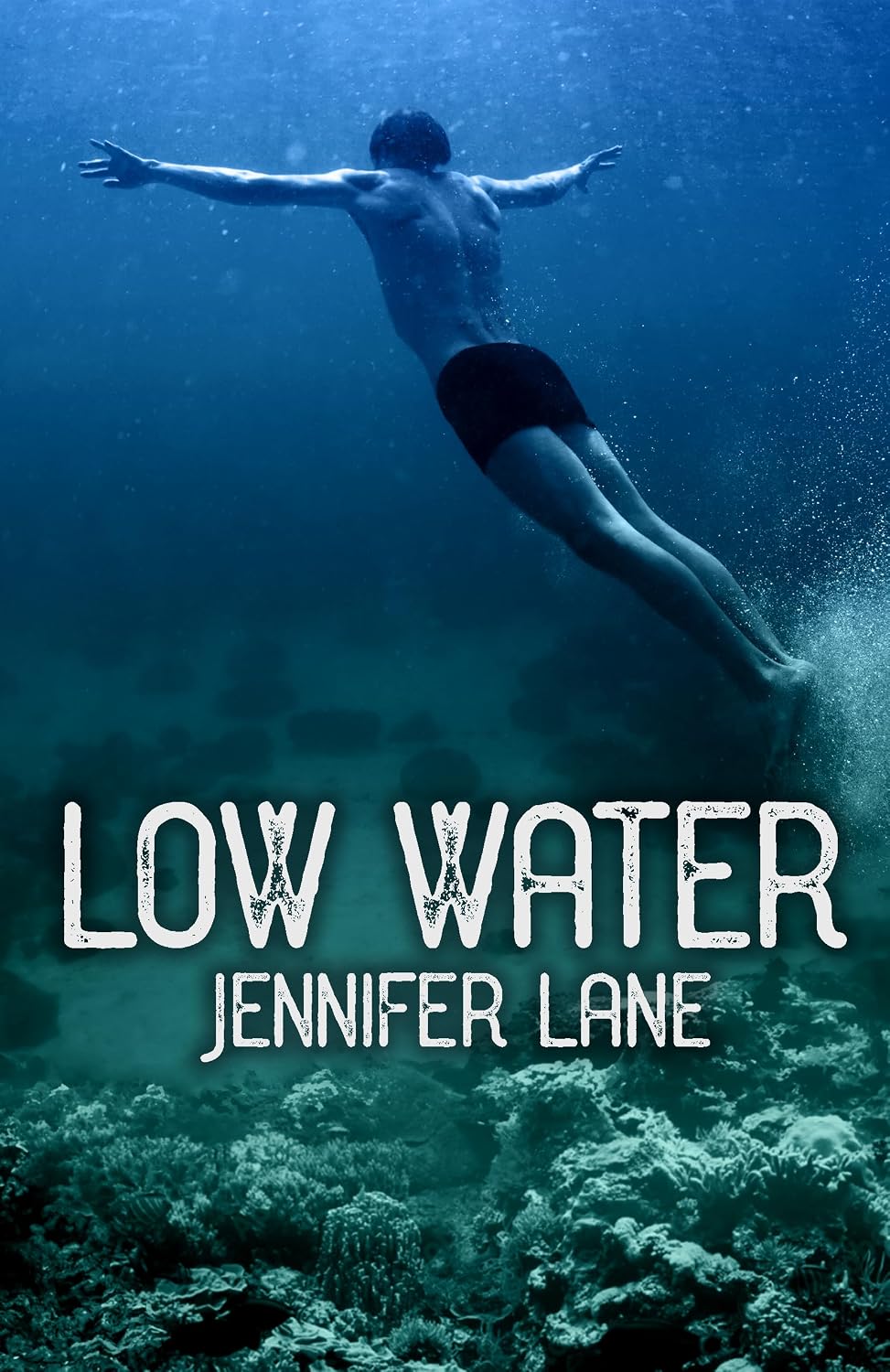 ler totalmente Low Water (English Edition)