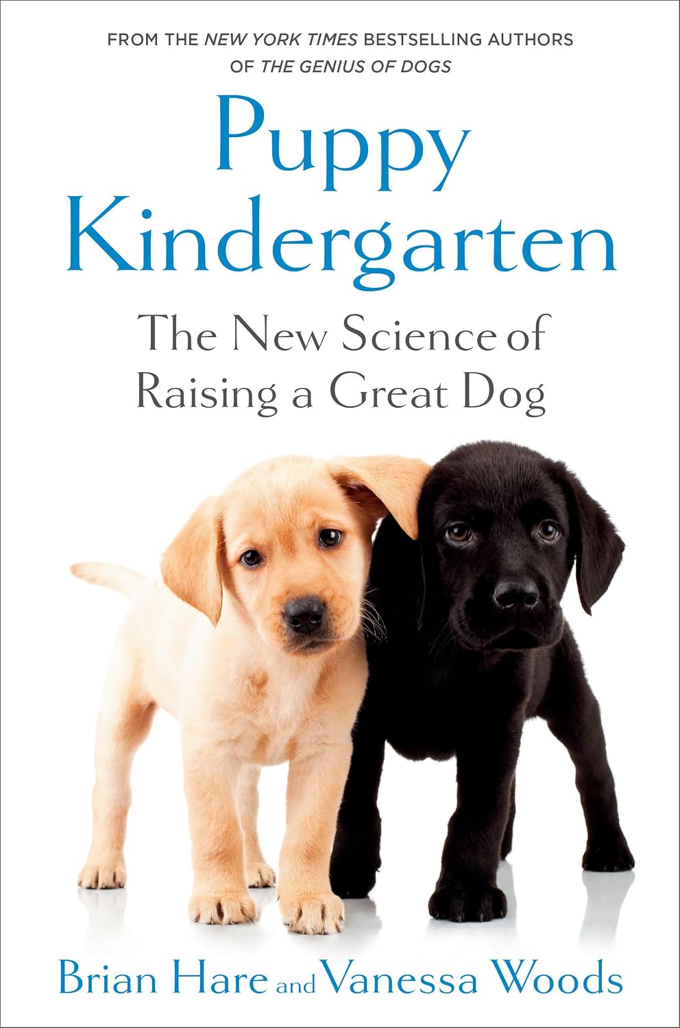 Puppy Kindergarten: The New Science of Raising a Great Dog baixar livro de graça