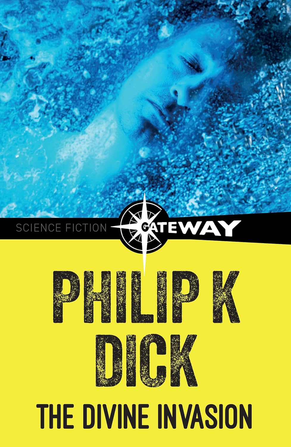 The Divine Invasion (English Edition) baixar o livro de graça
