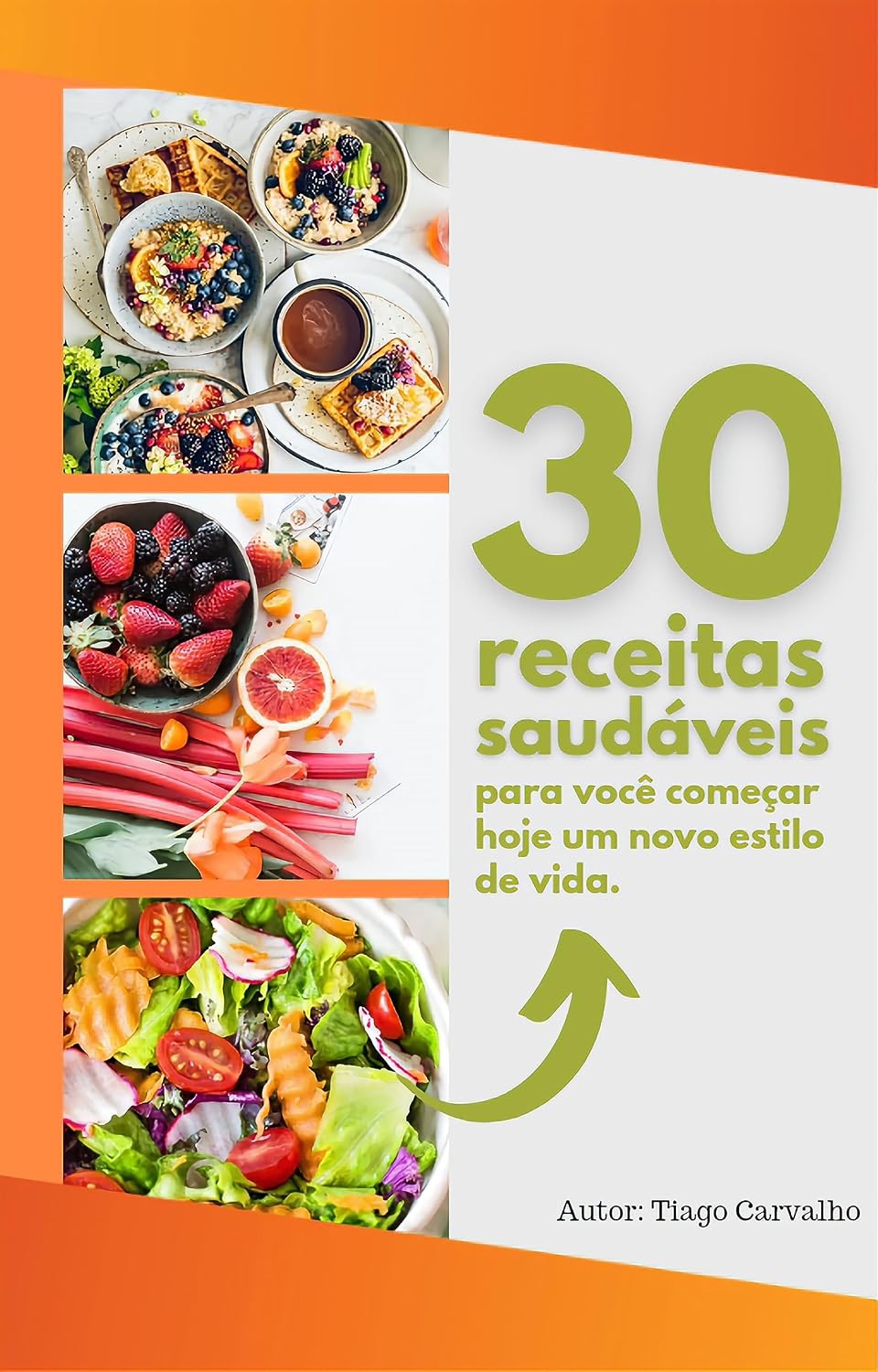 30 Receitas Saudáveis: Comece hoje um novo estilo de vida baixar livro de graça