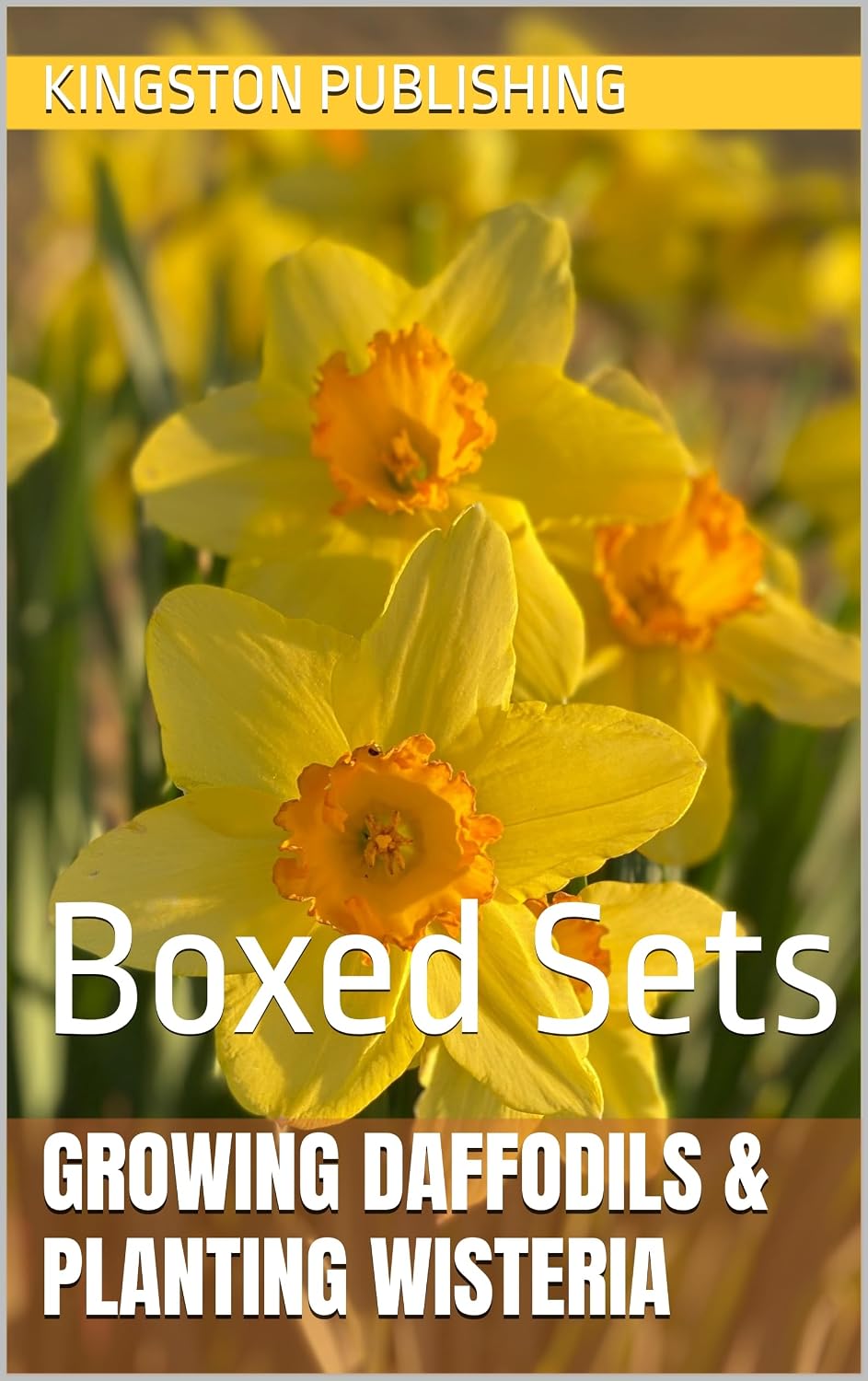 ler totalmente Growing Joyful Daffodils & Wisteria: Boxed Sets (Gardening With Planters) (English Edition)