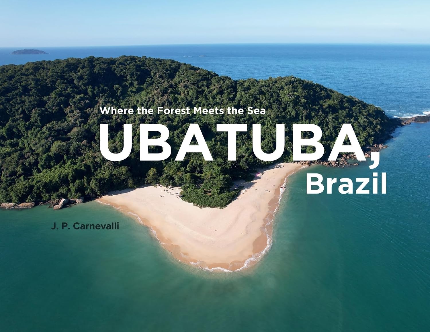 Ubatuba, Brazil: Where the Forest Meets the Sea baixar o livro de graça