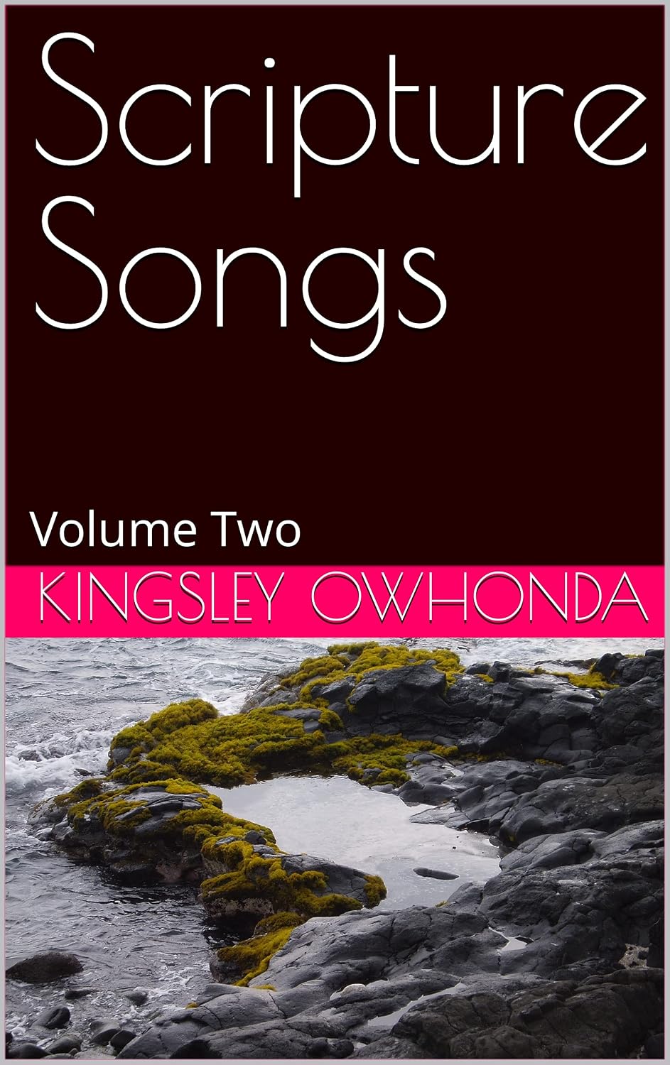 Scripture Songs: Volume Two (English Edition) baixar o livro de graça