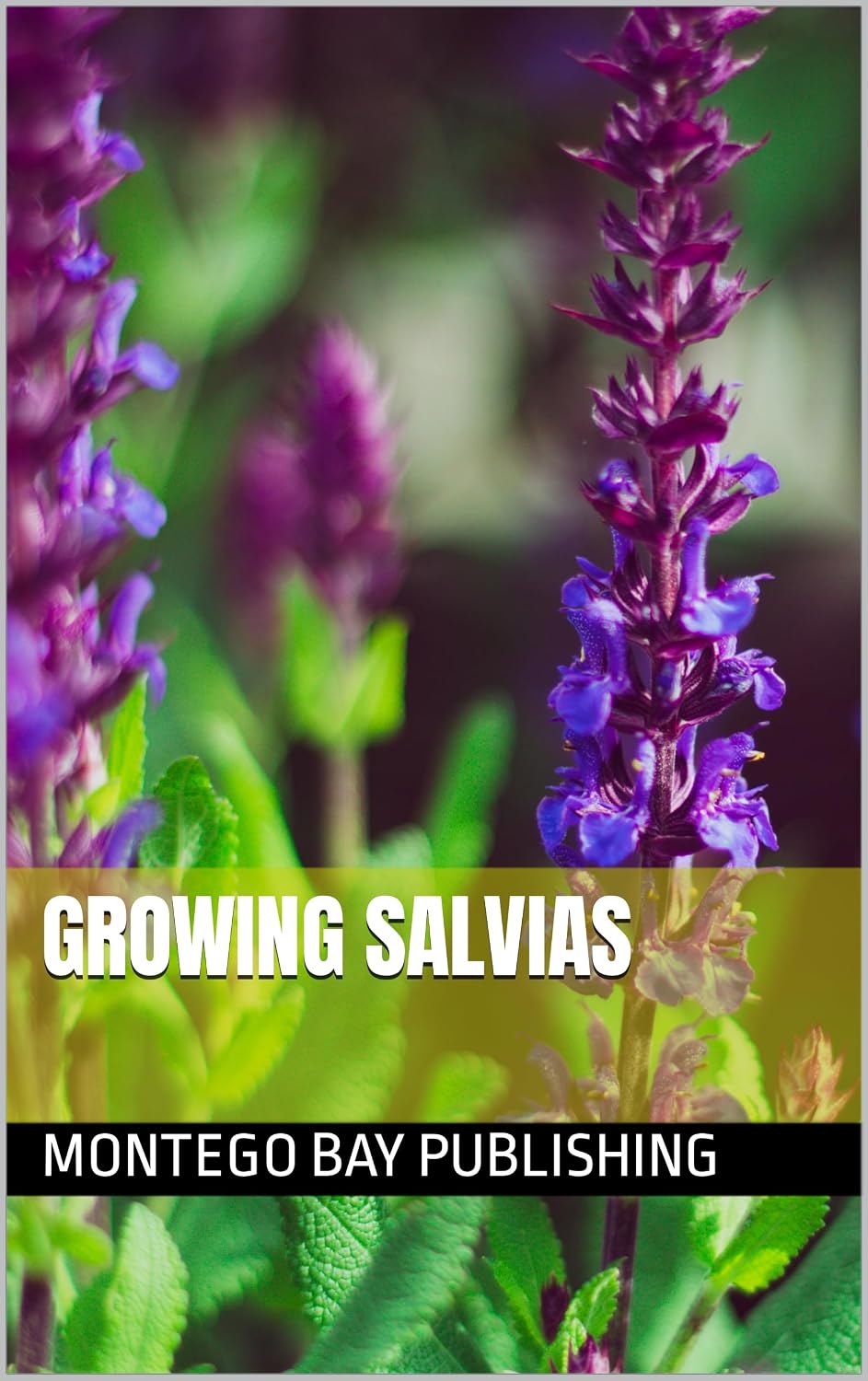 Growing Salvias (Growing Flowers) (English Edition) baixar livro de graça